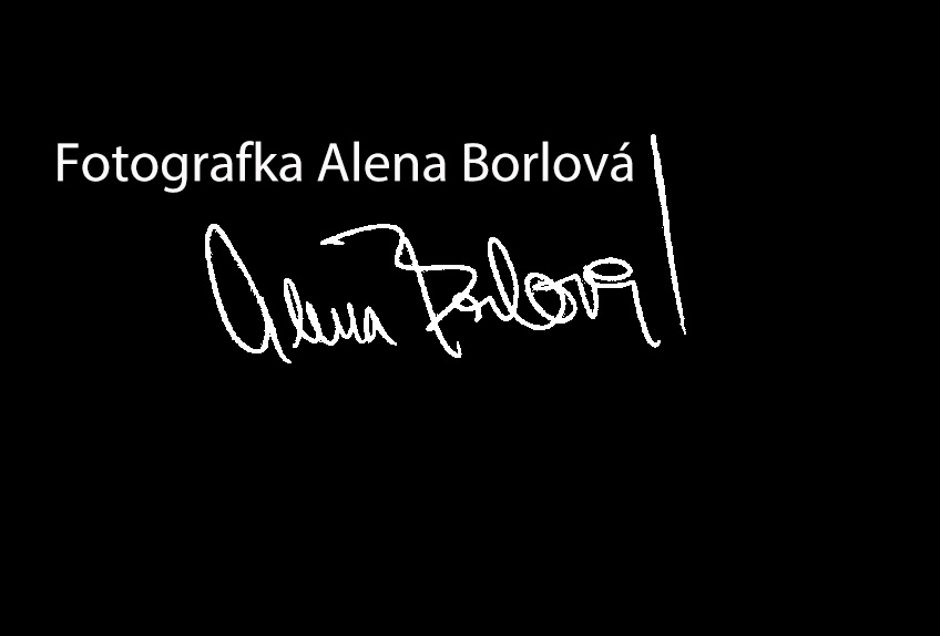 Fotografka Alena Borlová